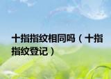 十指指紋相同嗎（十指指紋登記）