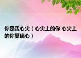 你是我心尖（心尖上的你 心尖上的你夏璃心）