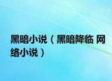 黑暗小說(shuō)（黑暗降臨 網(wǎng)絡(luò)小說(shuō)）