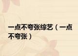 一點(diǎn)不夸張綜藝（一點(diǎn)不夸張）