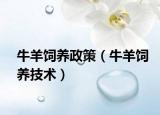 牛羊飼養(yǎng)政策（牛羊飼養(yǎng)技術(shù)）