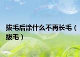 拔毛后涂什么不再長毛（拔毛）