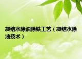 凝結(jié)水除油除鐵工藝（凝結(jié)水除油技術(shù)）