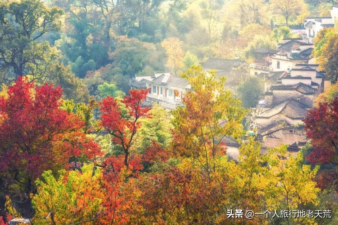 11月，全國最美的20個地方，哪個最讓你心動