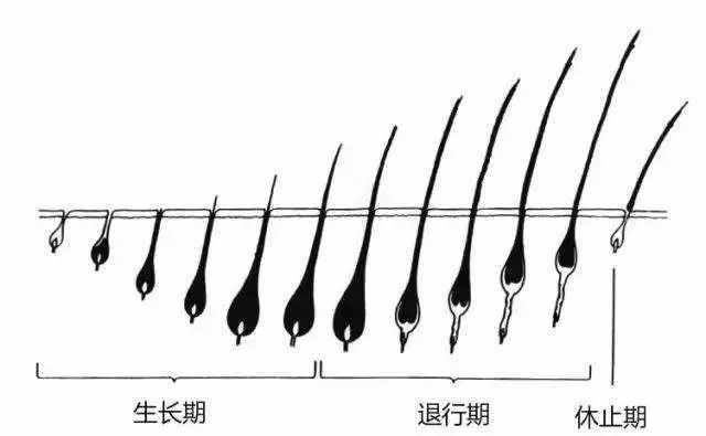 脫毛怎么都做不對(duì)？那是你選錯(cuò)了方法