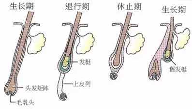 脫毛怎么都做不對(duì)？那是你選錯(cuò)了方法