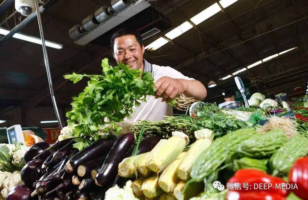 可有放心菜？健康的菜籃子，承載一個小家最平凡的幸福