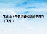 飛來山上千尋塔聞說雞鳴見日升（飛來）