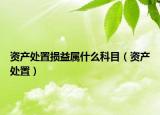 資產(chǎn)處置損益屬什么科目（資產(chǎn)處置）