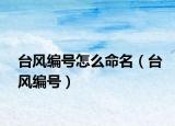 臺風(fēng)編號怎么命名（臺風(fēng)編號）