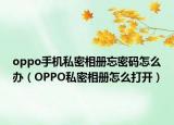 oppo手機私密相冊忘密碼怎么辦（OPPO私密相冊怎么打開）