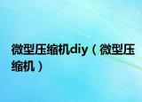 微型壓縮機(jī)diy（微型壓縮機(jī)）