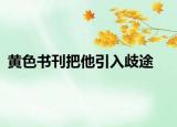 黃色書刊把他引入歧途