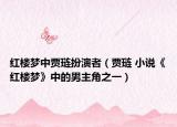 紅樓夢中賈璉扮演者（賈璉 小說《紅樓夢》中的男主角之一）