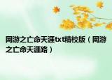網(wǎng)游之亡命天涯txt精校版（網(wǎng)游之亡命天涯路）