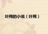 葉朔的小說（葉朔）