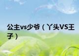 公主vs少爺（丫頭VS王子）