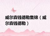 威爾森錢德勒集錦（威爾森錢德勒）