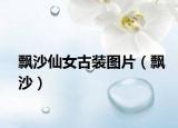 飄沙仙女古裝圖片（飄沙）