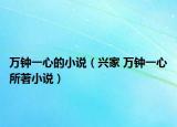 萬鐘一心的小說（興家 萬鐘一心所著小說）