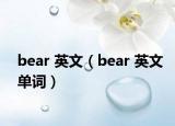 bear 英文（bear 英文單詞）