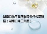 湖南口味王集團(tuán)有限責(zé)任公司財報（湖南口味王集團(tuán)）