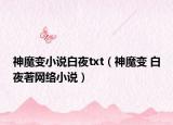 神魔變小說白夜txt（神魔變 白夜著網(wǎng)絡小說）