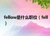 fellow是什么職位（fell）