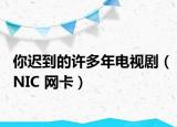 你遲到的許多年電視?。∟IC 網(wǎng)卡）