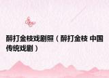 醉打金枝戲劇照（醉打金枝 中國傳統(tǒng)戲?。? /></span></a>
                        <h2><a  title=