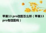 蘋果13 pro微距怎么樣（蘋果13pro有微距嗎）