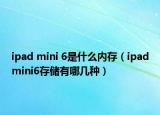 ipad mini 6是什么內(nèi)存（ipadmini6存儲(chǔ)有哪幾種）