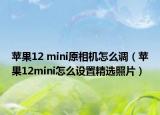 蘋果12 mini原相機(jī)怎么調(diào)（蘋果12mini怎么設(shè)置精選照片）