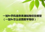 一加9r手機(jī)信息來通知角標(biāo)在哪里（一加9r怎么設(shè)置數(shù)字角標(biāo)）