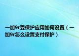 一加9r受保護應用如何設置（一加9r怎么設置支付保護）