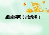捕蝴蝶網(wǎng)（捕蝴蝶）
