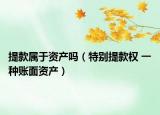 提款屬于資產(chǎn)嗎（特別提款權(quán) 一種賬面資產(chǎn)）
