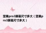 堅(jiān)果pro3屏幕尺寸多大（堅(jiān)果pro3屏幕尺寸多大）
