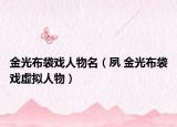 金光布袋戲人物名（夙 金光布袋戲虛擬人物）