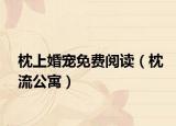 枕上婚寵免費閱讀（枕流公寓）