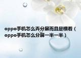 oppo手機(jī)怎么弄分屏而且是橫著（oppo手機(jī)怎么分屏一半一半）