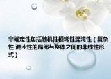 非確定性包括隨機(jī)性模糊性混沌性（復(fù)雜性 混沌性的局部與整體之間的非線性形式）