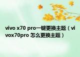 vivo x70 pro一鍵更換主題（vivox70pro 怎么更換主題）