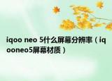 iqoo neo 5什么屏幕分辨率（iqooneo5屏幕材質(zhì)）