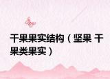 干果果實結構（堅果 干果類果實）