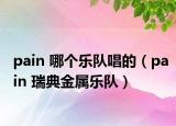 pain 哪個樂隊唱的（pain 瑞典金屬樂隊）