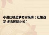 小說紅樓遺夢冬雪晚晴（紅樓遺夢 冬雪晚晴小說）