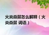 火炎焱燚怎么解釋（火炎焱燚 詞語）
