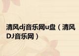 清風(fēng)dj音樂(lè)網(wǎng)u盤（清風(fēng)DJ音樂(lè)網(wǎng)）