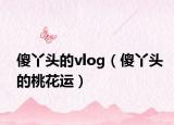 傻丫頭的vlog（傻丫頭的桃花運）
